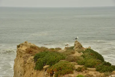 DSC_6546 (Large).JPG